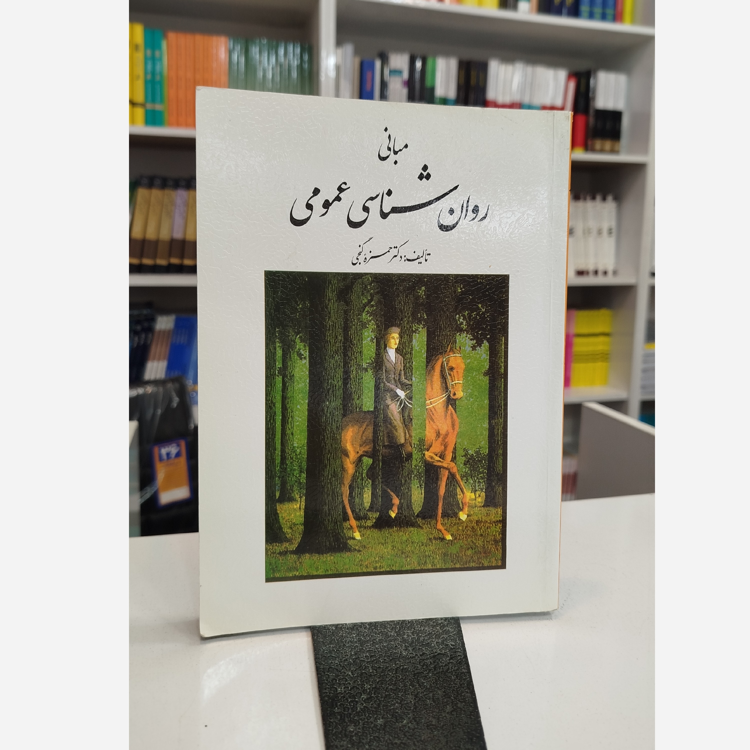 مبانی روانشناسی عمومی(حمزه گنجی)