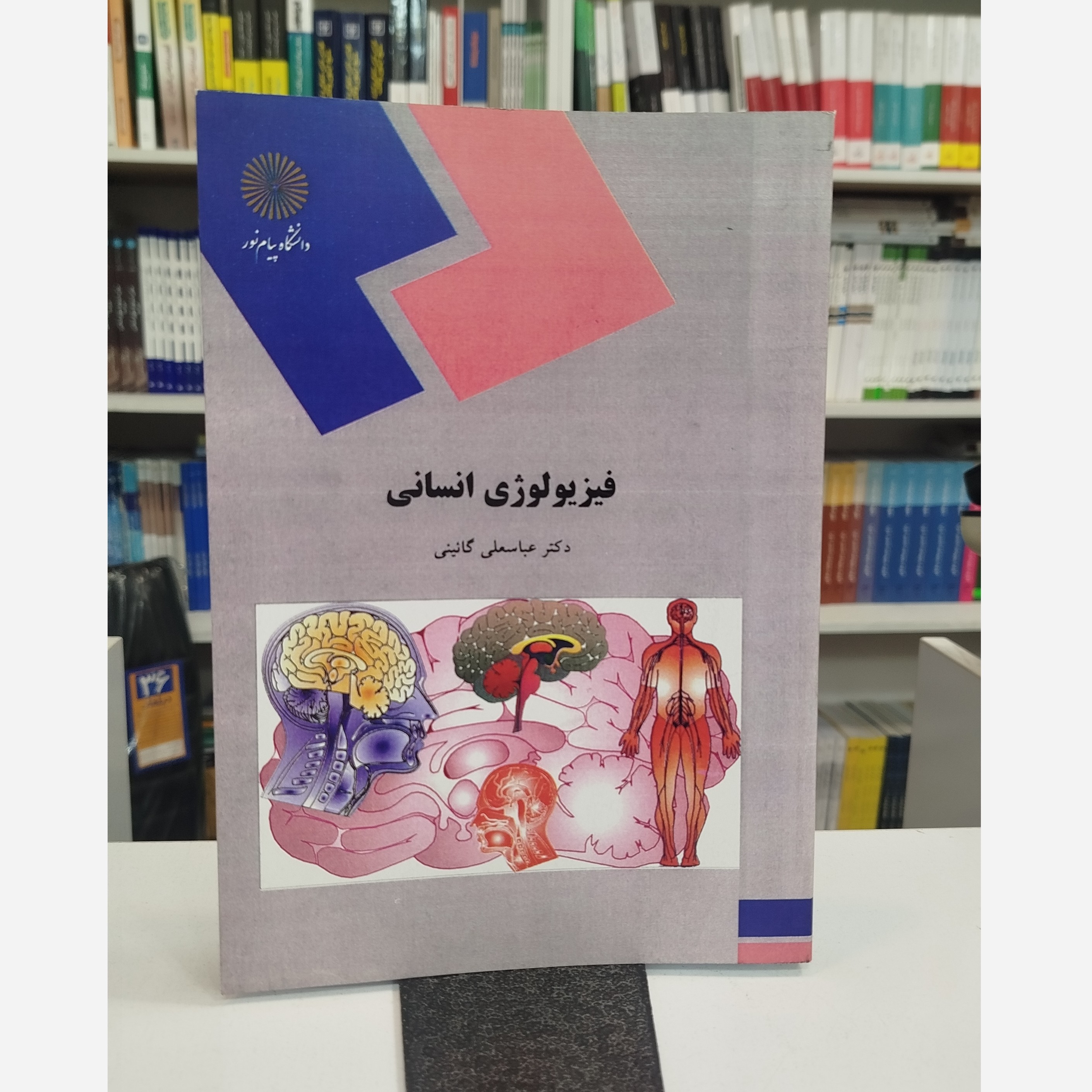 فیزیولوژی انسانی