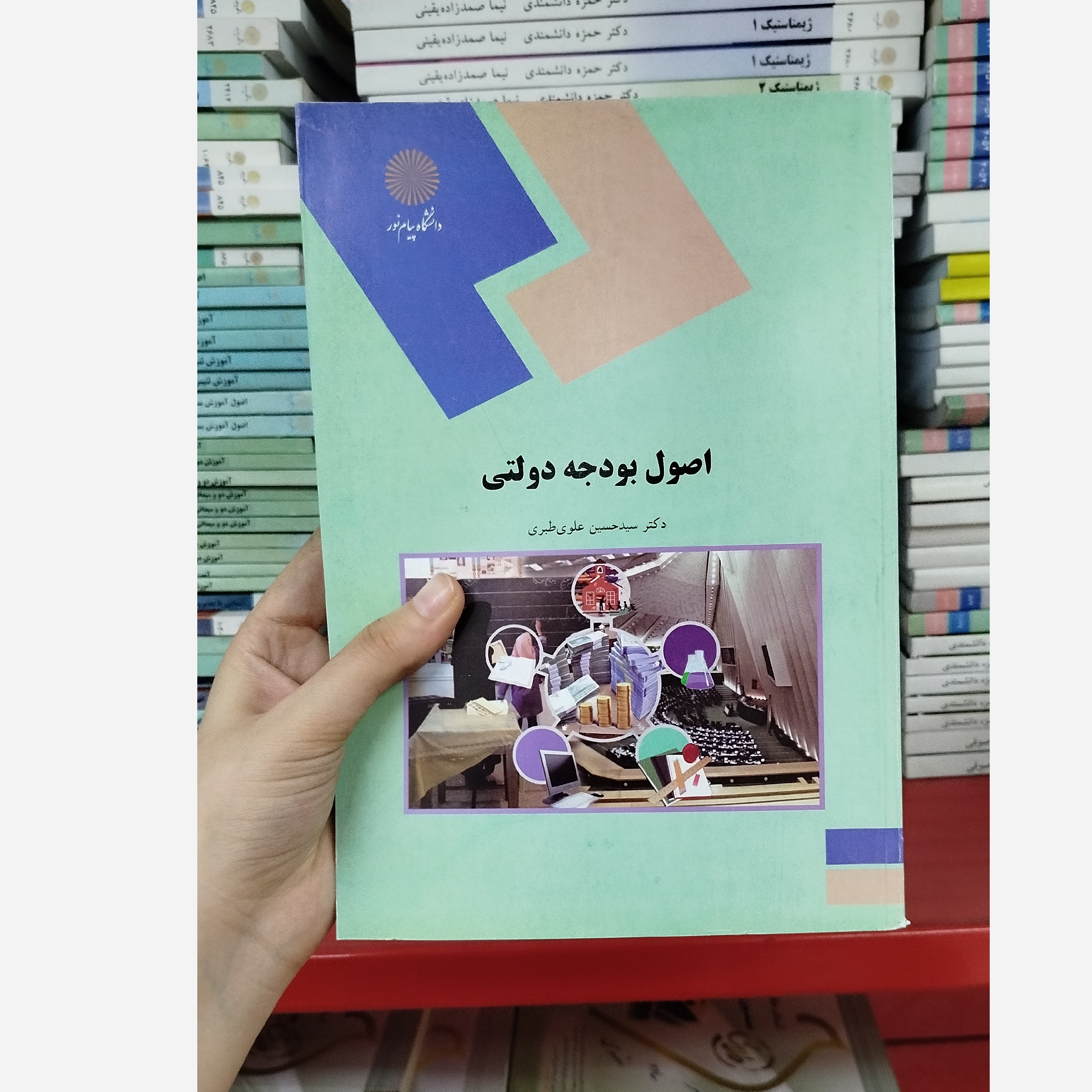 اصول بودجه دولتی
