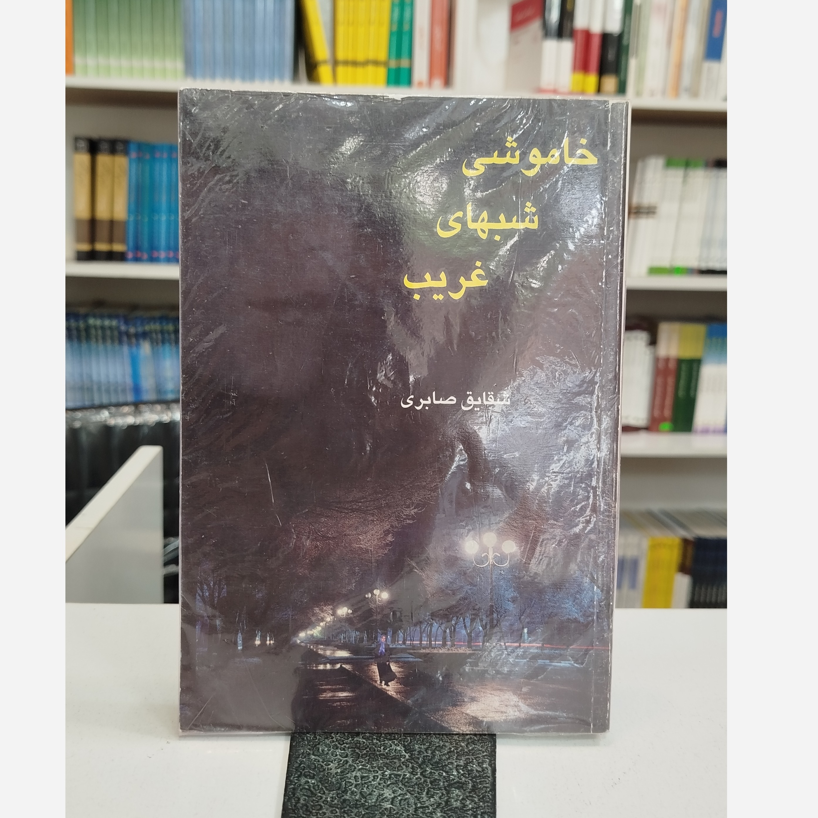 خاموشی شب های غریب (شقایق صابری)