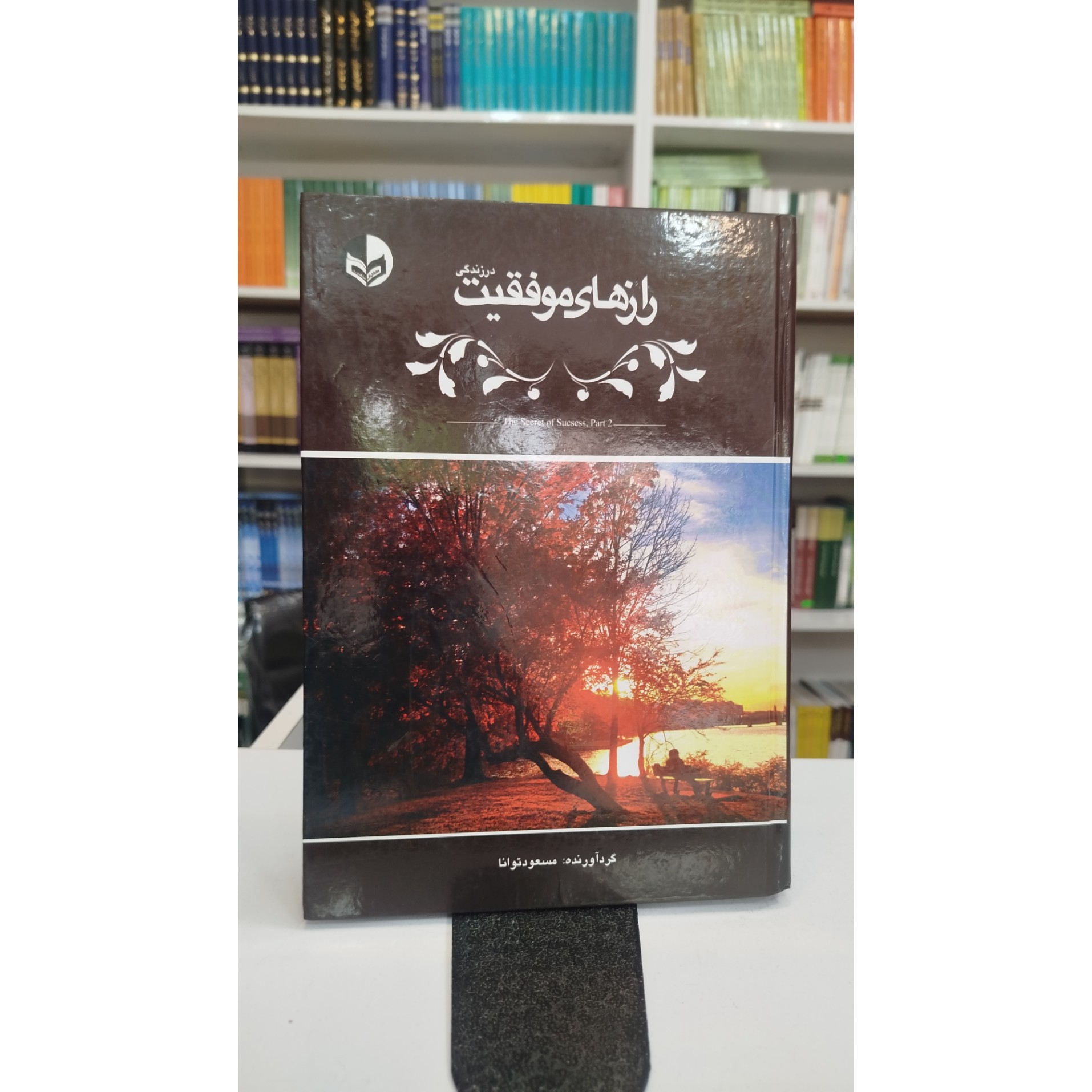 رازهای موفقیت در زندگی (مسعودتوانا)