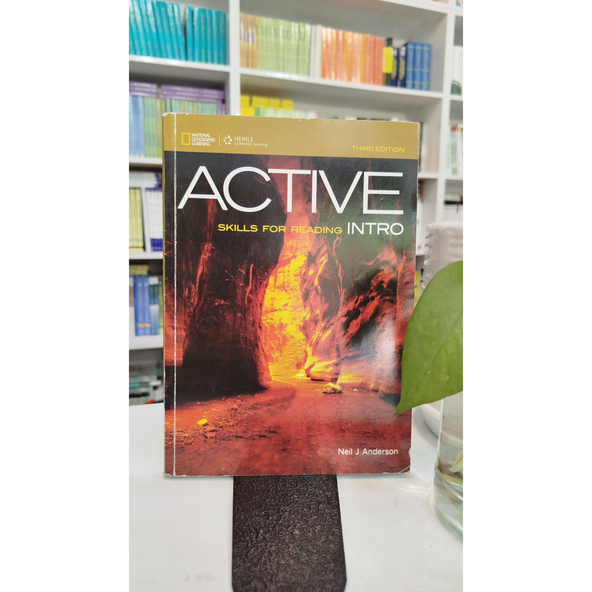 Active sklL for reading lntro