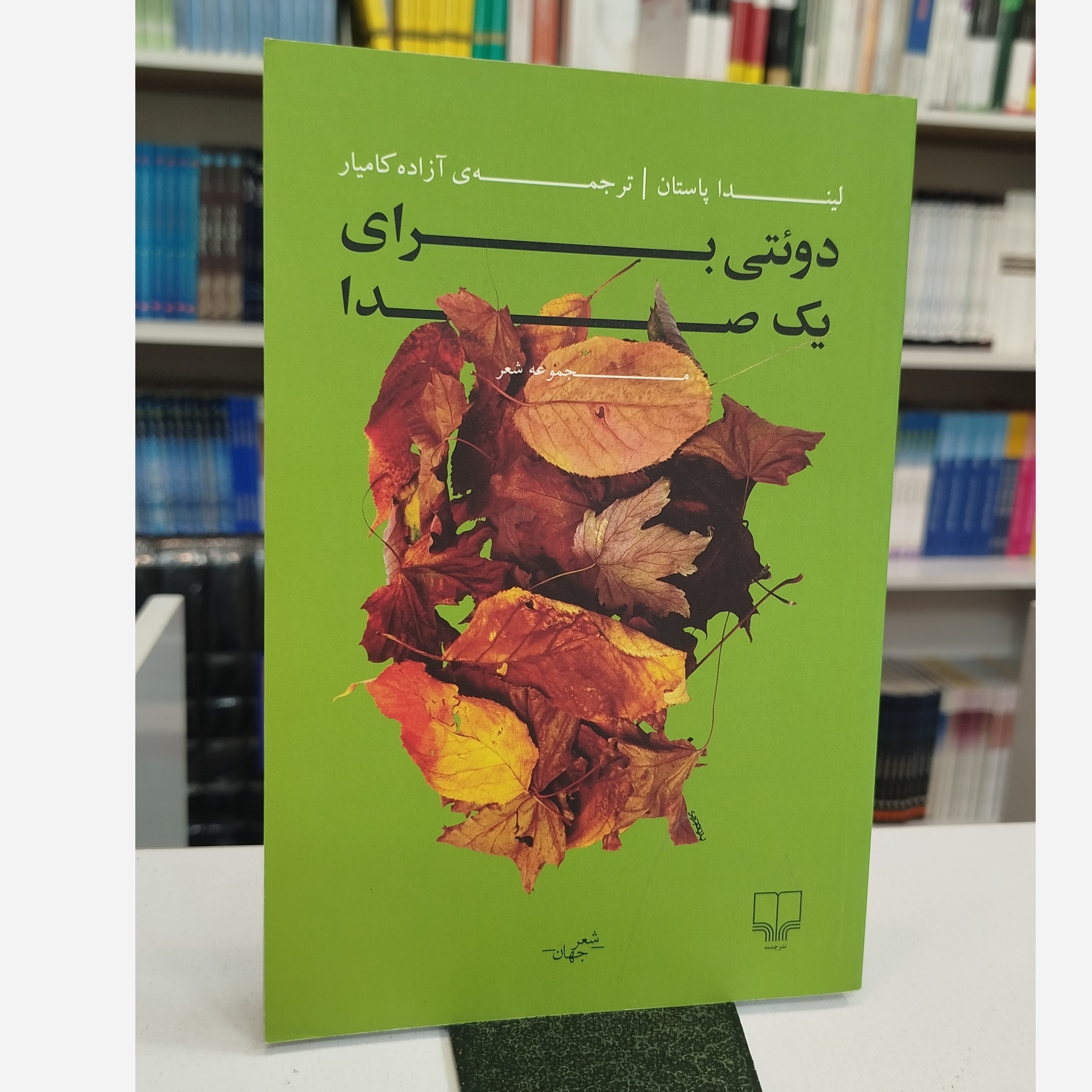 کتاب دوئتی برای یک صدا(مترجم،آزاده کامیار)