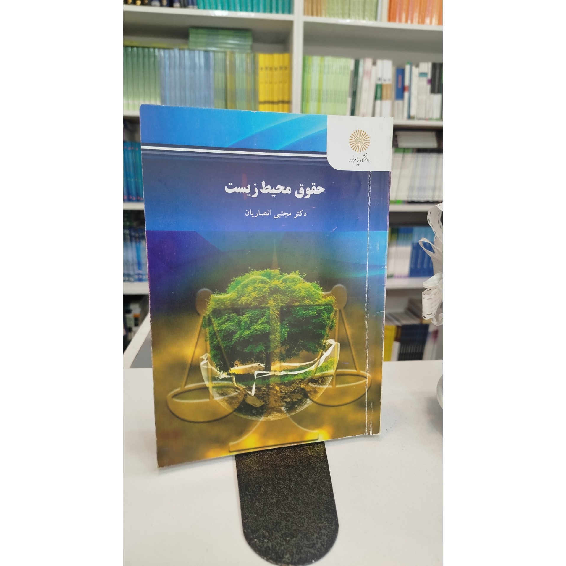 حقوق محیط زیست