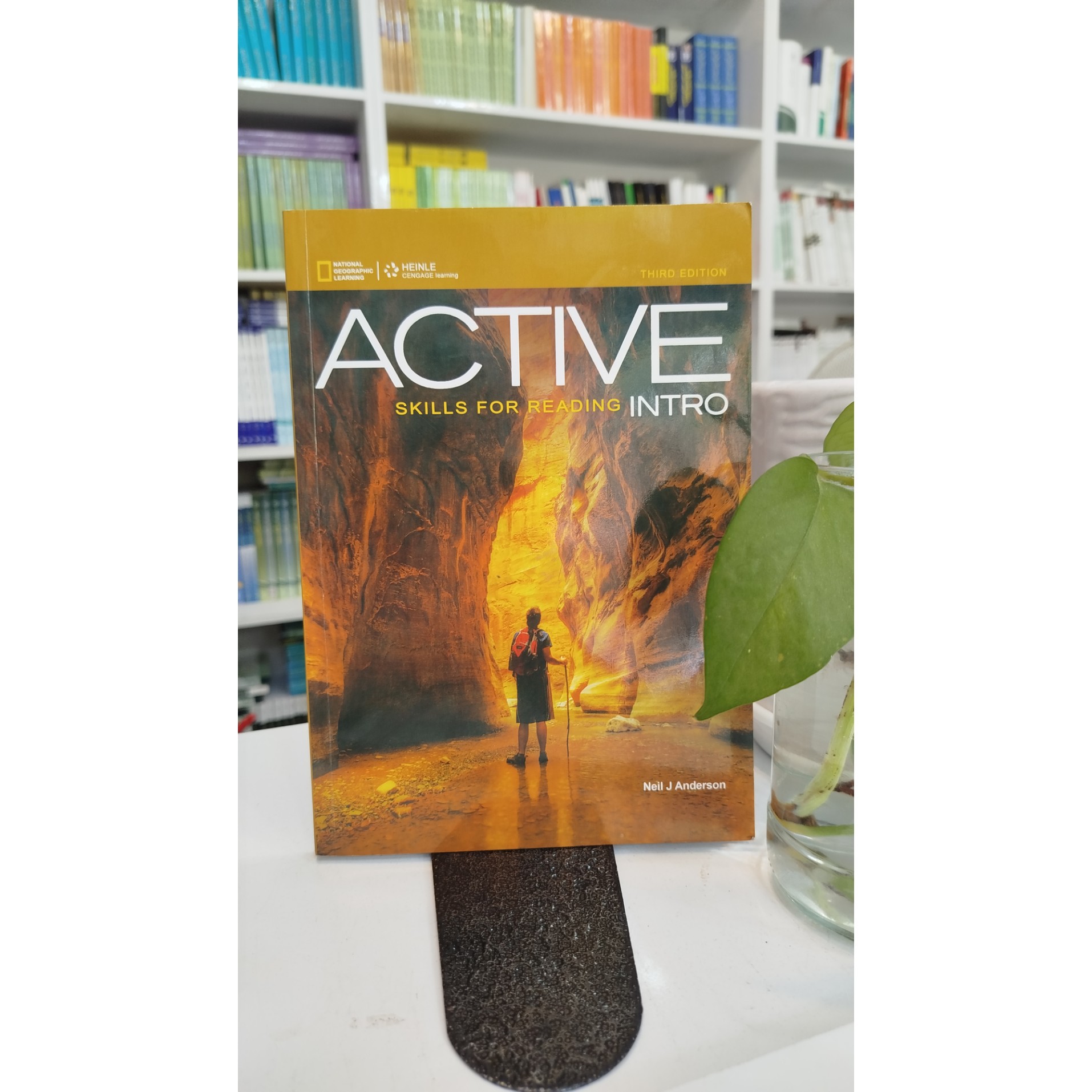 نوActive sklL for reading lntro