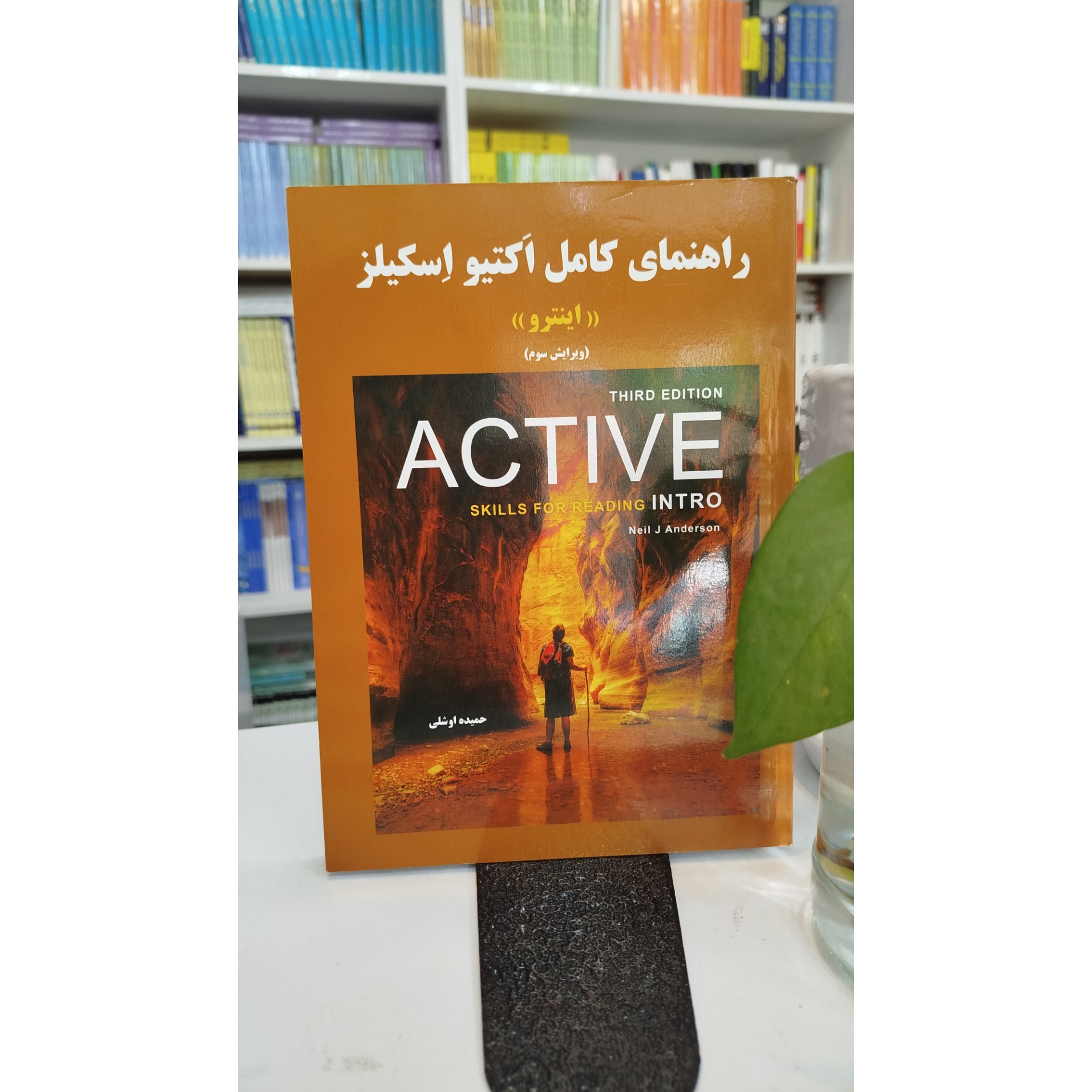 راهنمای کامل اکتیو اسکیلز اینترو نو