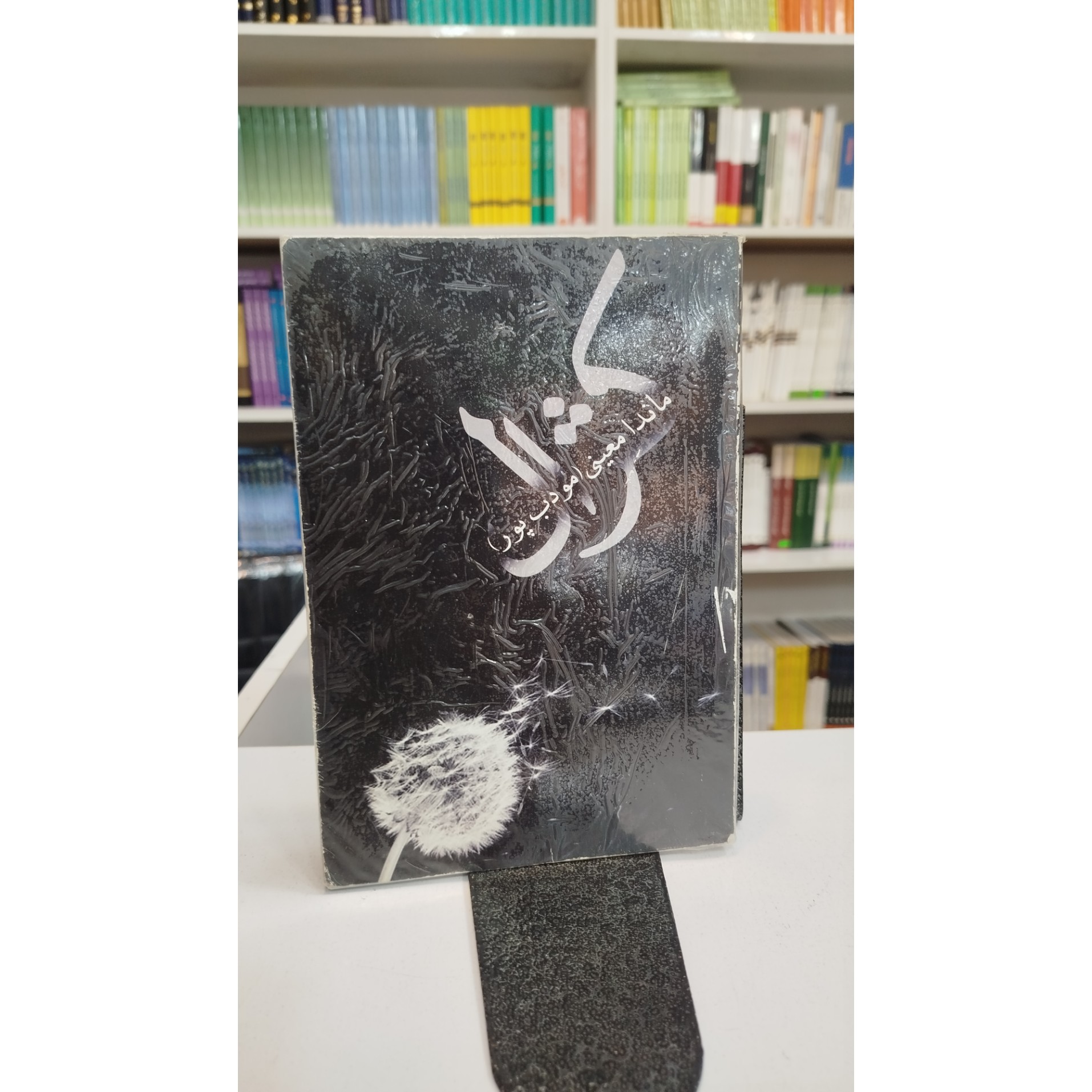 کژال (ماندا معینی مودب پور)