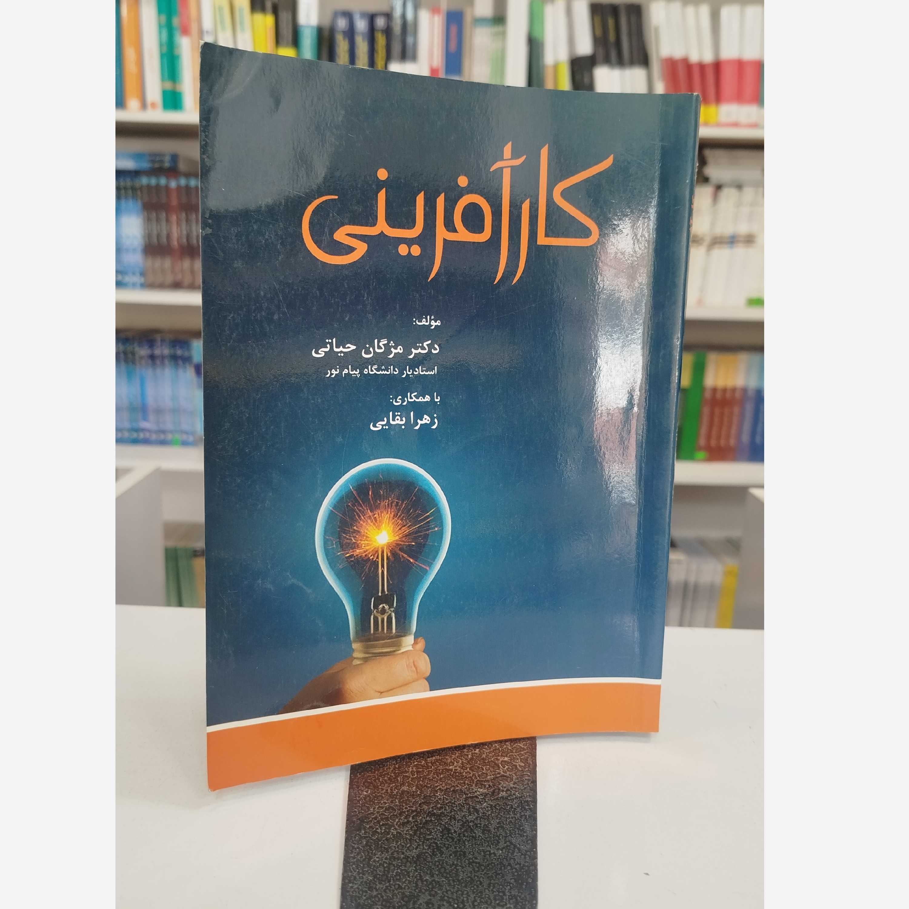 کتاب کار آفرینی تالیف مژگان حیاتی و زهرا بقایی