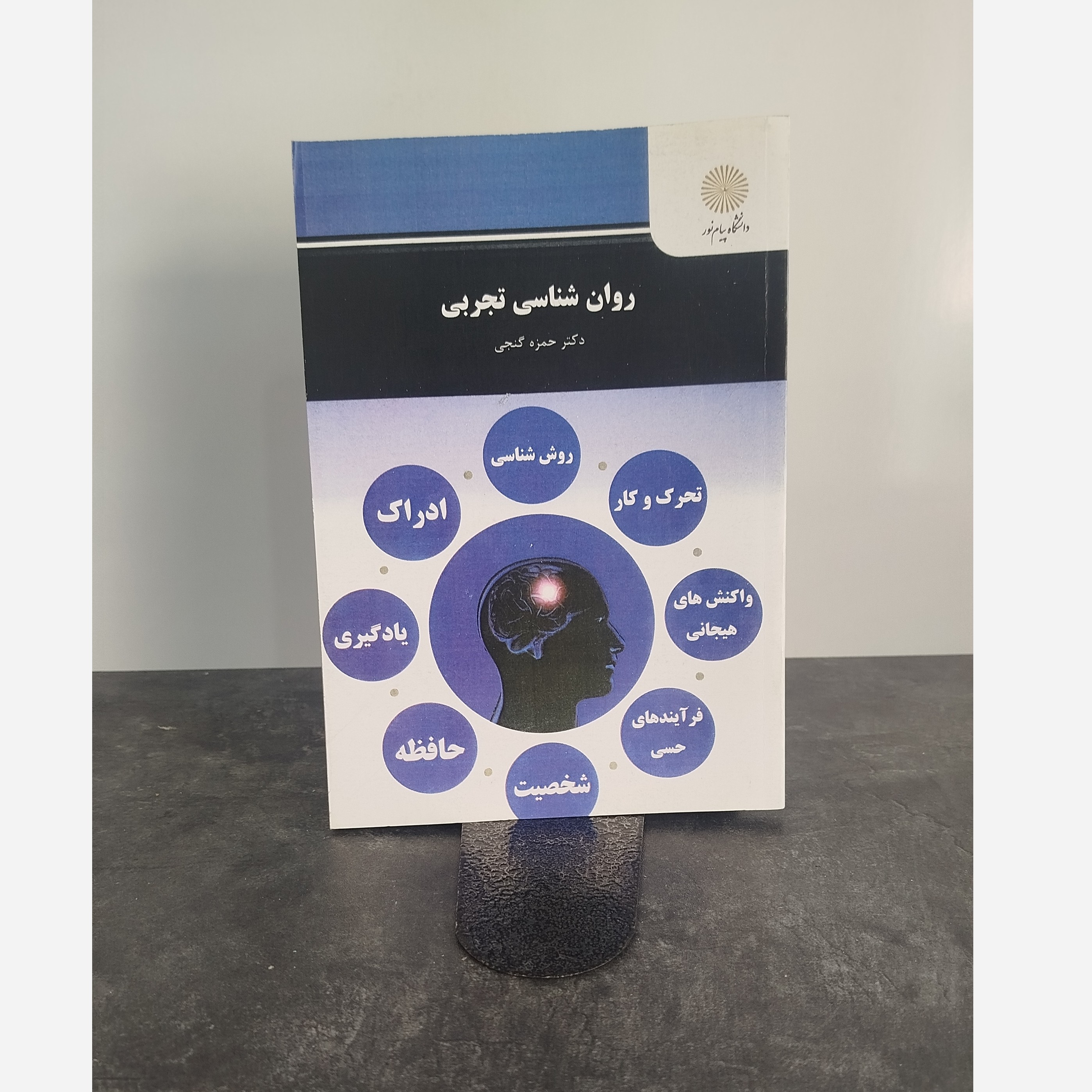 روانشناسی تجربی نو