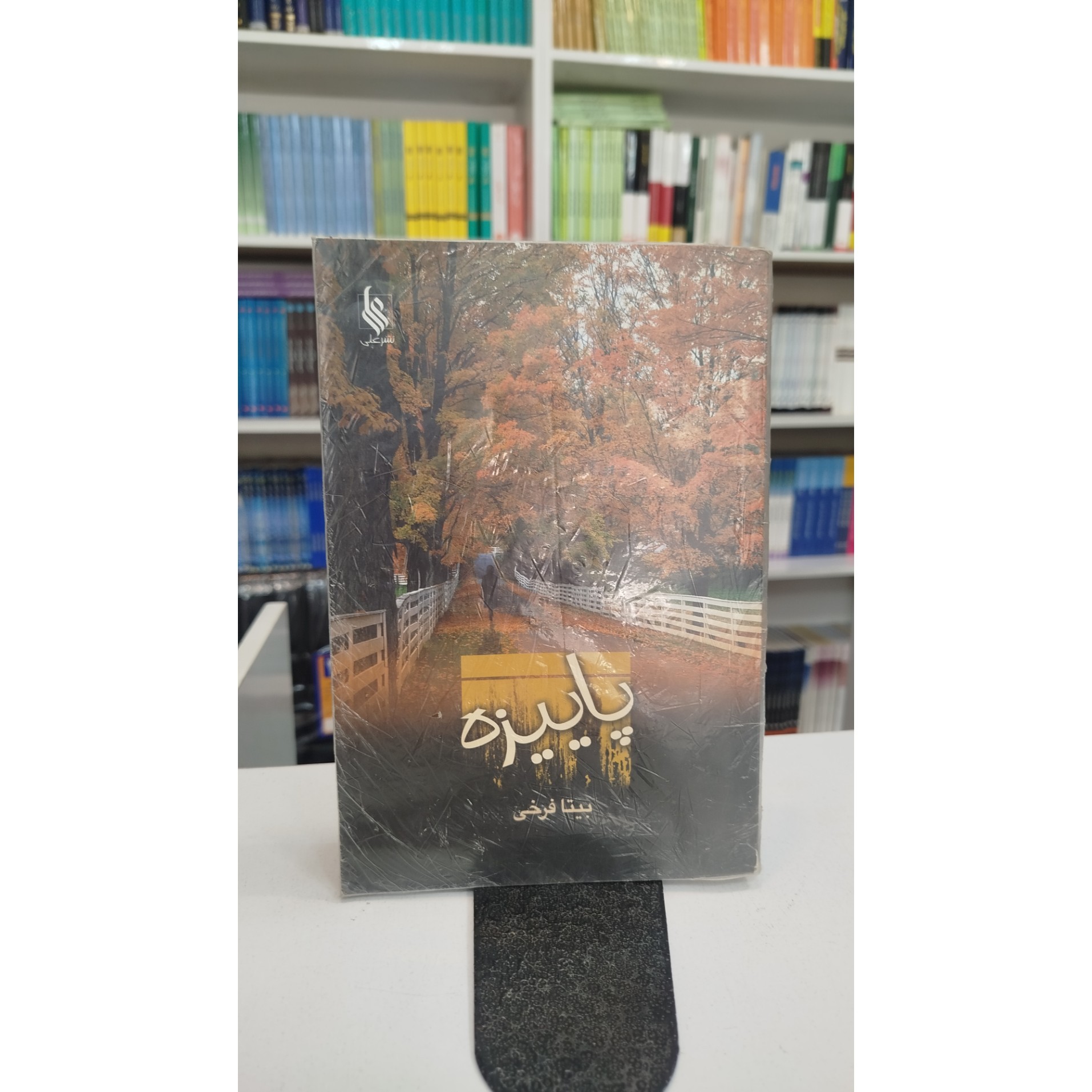پاییزه(بیتا فرخی)