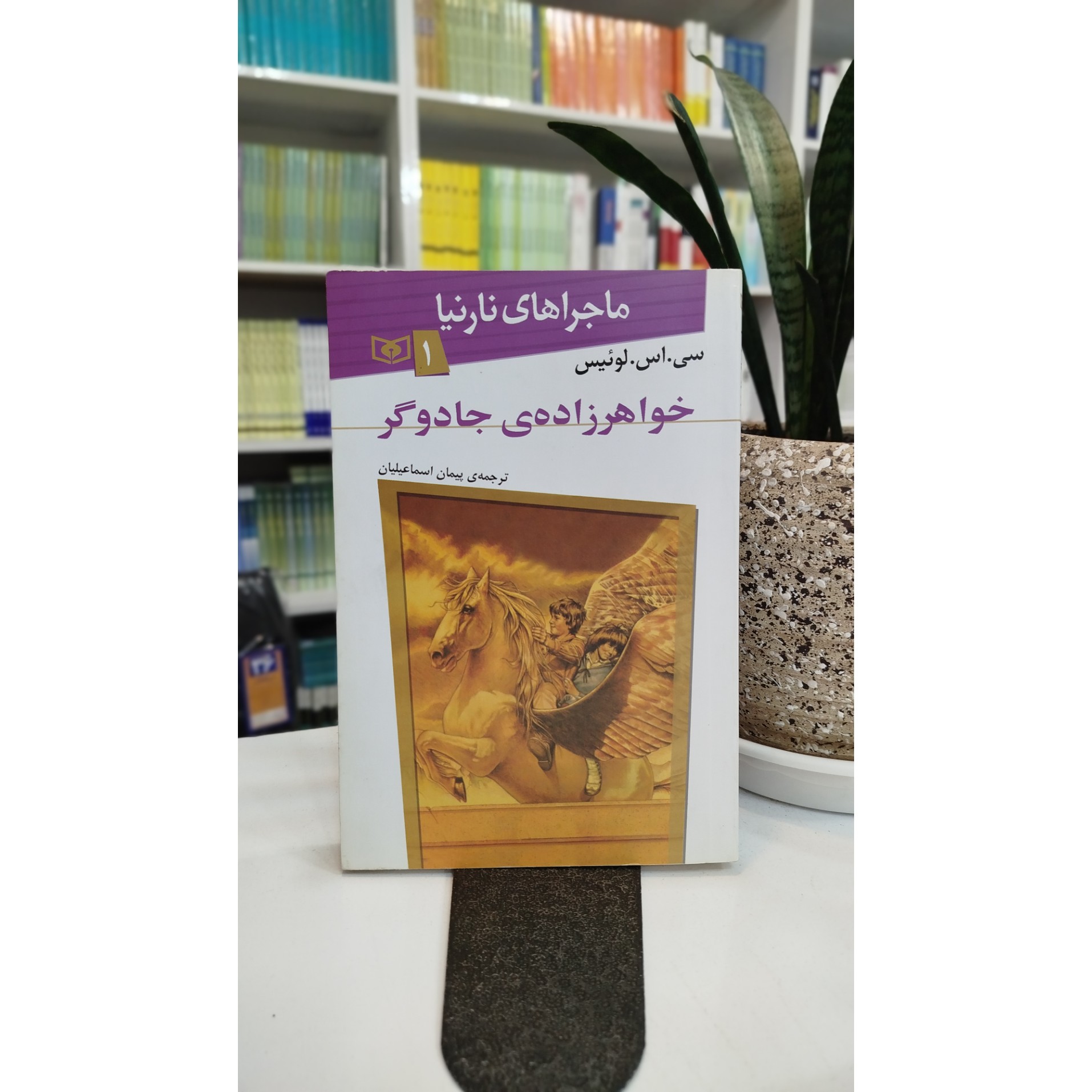 خواهر زاده ی جادوگر (مترجم،پیمان اسماعیلیان )