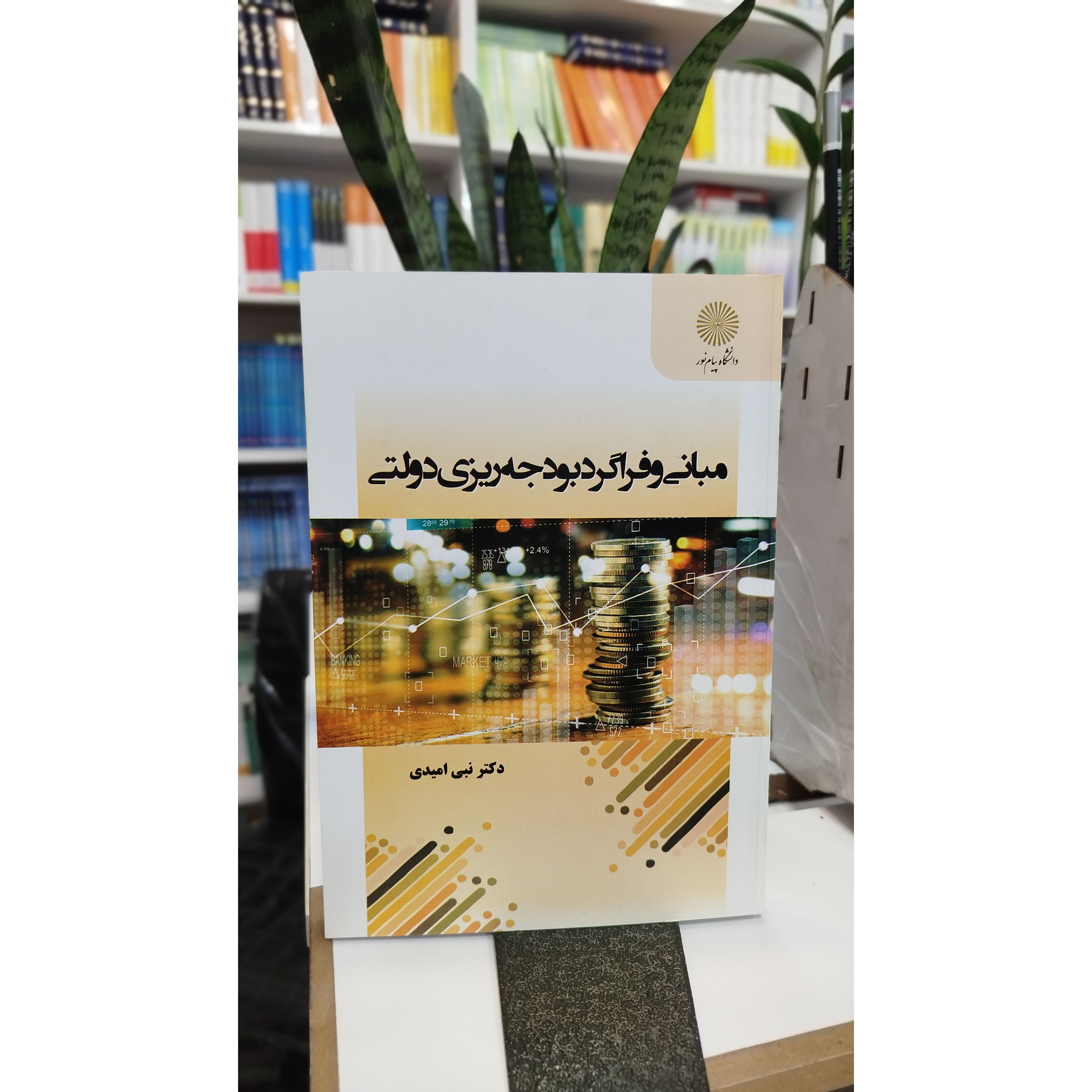 مبانی و فراگرد بودجه ریزی دولتی نو